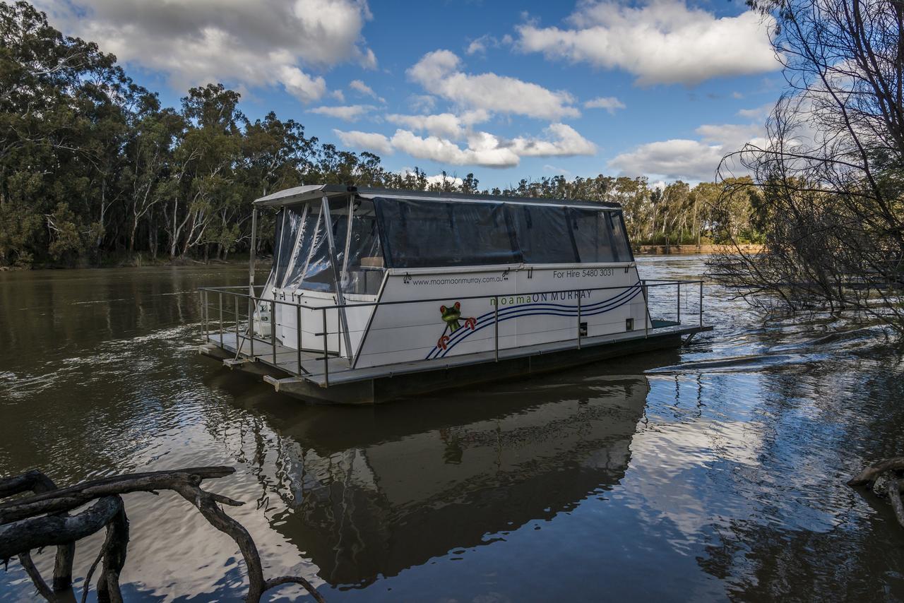 Moama On Murray Houseboats Ngoại thất bức ảnh